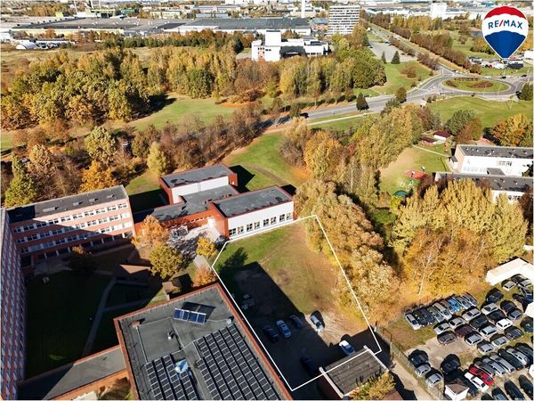 Alytus, Putinai