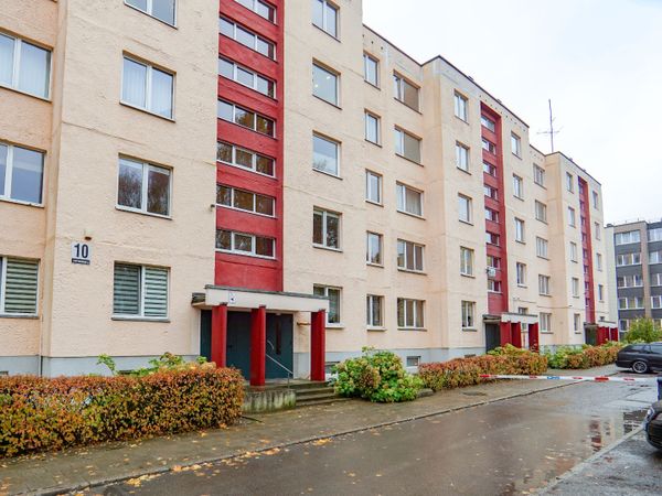 Panevėžys, Klaipėda