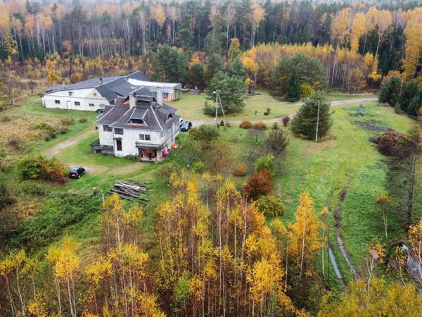 Tauragės r. sav., Ąžuolynė