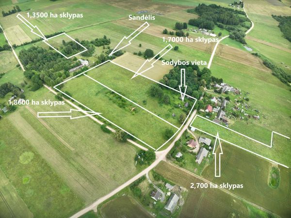 Raseinių r. sav., Plingiai