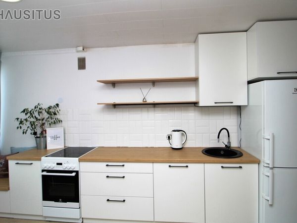 Panevėžys, Centras