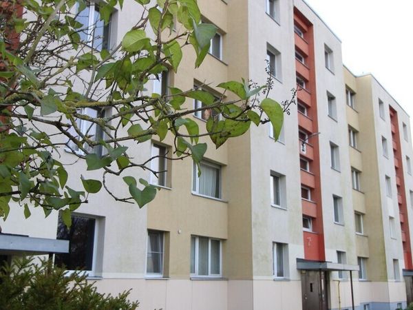 Panevėžys, Centras