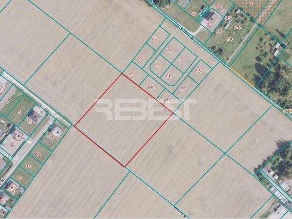 Šiaulių r. sav., Dainos