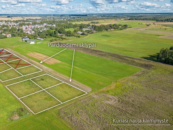 Širvintų r. sav., Širvintėlės