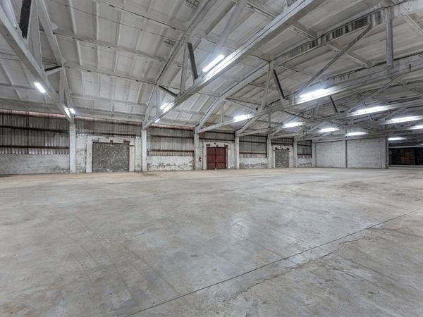 Pagėgių sav., Pagėgiai