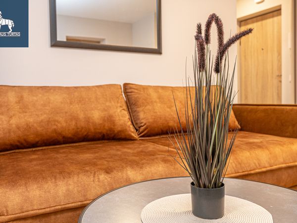 Vilnius, Šnipiškės