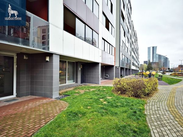 Vilnius, Šnipiškės