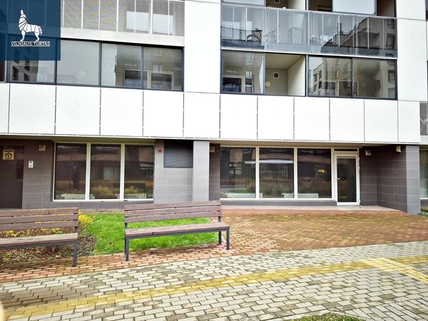 Vilnius, Šnipiškės