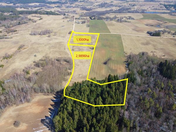 Trakų r. sav., Miglinai