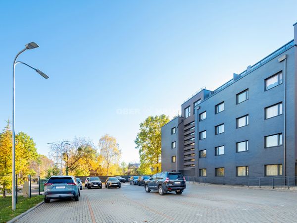 Kaunas, Žaliakalnis