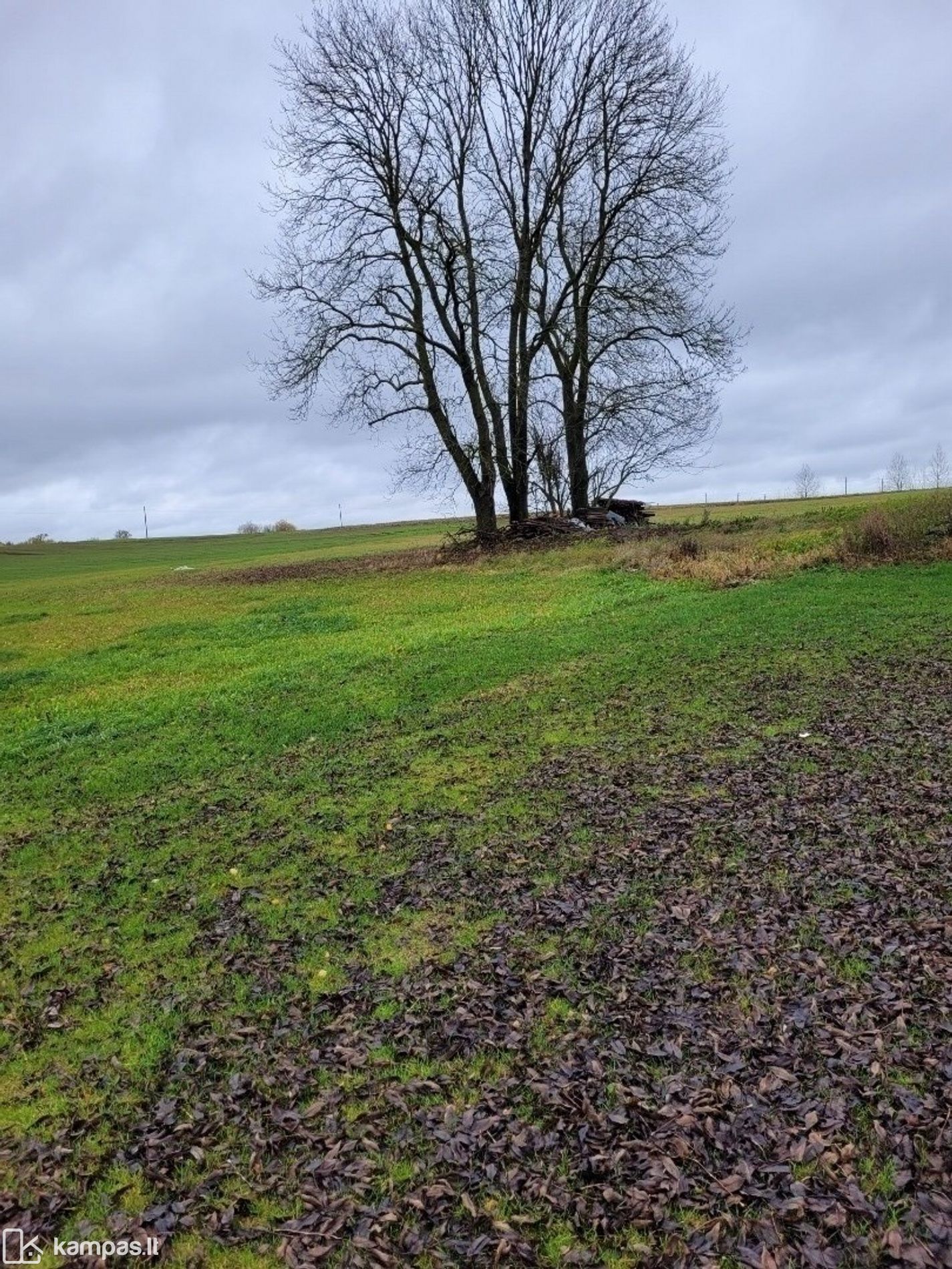 Main Image Lazdijų r. sav., Didžioji Kirsna, Pušyno g.