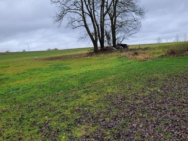 Lazdijų r. sav., Didžioji Kirsna