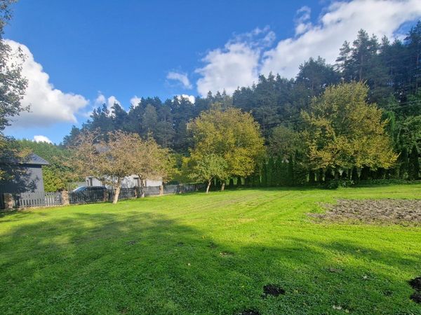 Alytaus r. sav., Panemuninkėliai