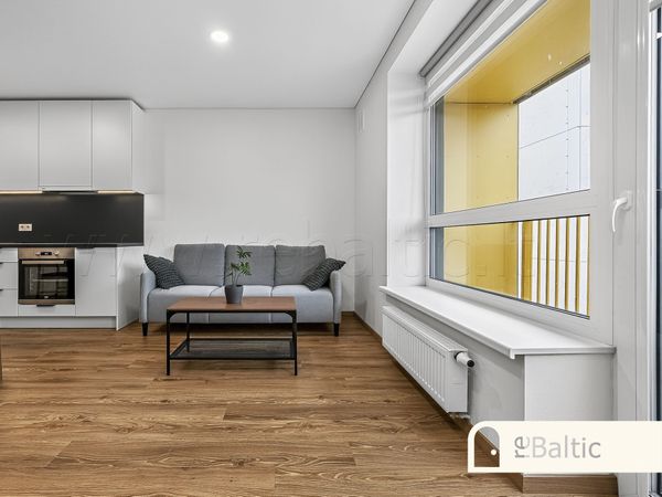 Vilnius, Naujamiestis