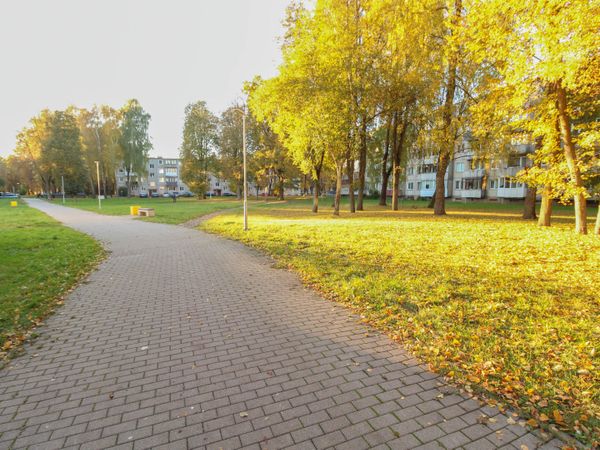 Elektrėnų sav., Elektrėnai