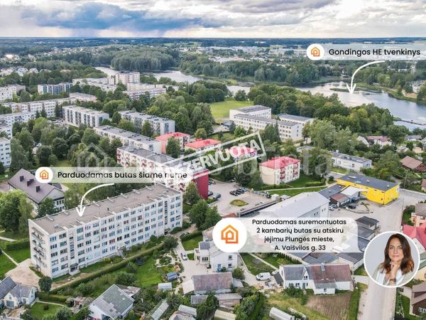 Plungės r. sav., Plungė