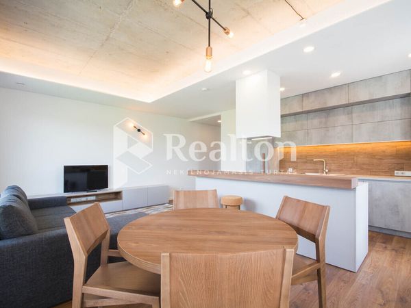 Vilnius, Šnipiškės