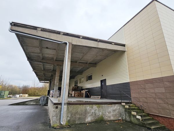 Panevėžys, Rožės