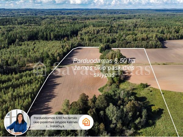 Kelmės r. sav., Valaičiai