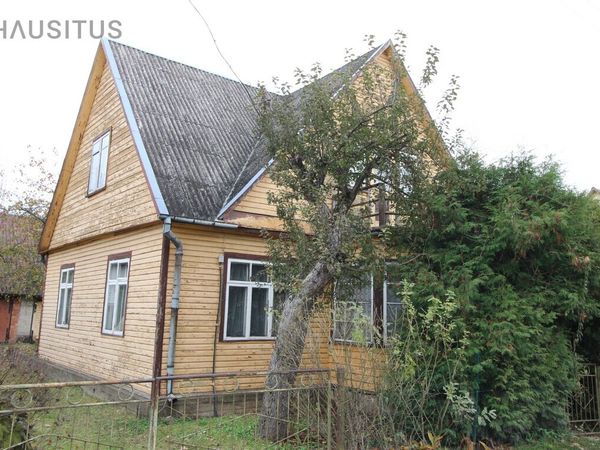 Panevėžys, Tulpės