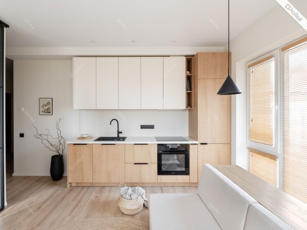 Vilnius, Šnipiškės