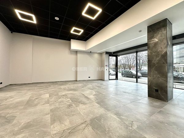 Panevėžys, Centras