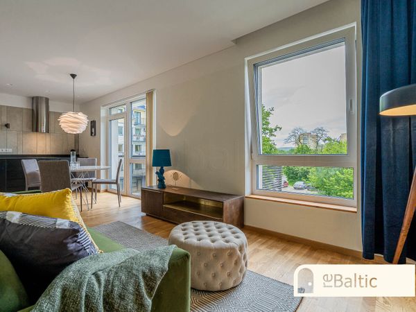 Vilnius, Šnipiškės