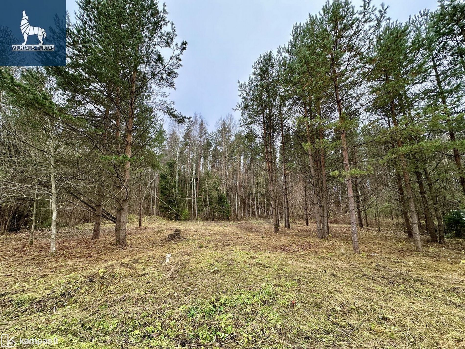 Main Image Vilniaus r. sav., Piktakonys, Rasos 1-oji g.