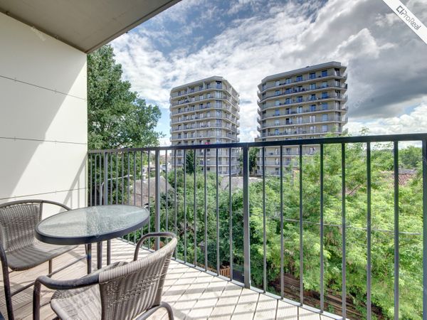 Vilnius, Šnipiškės