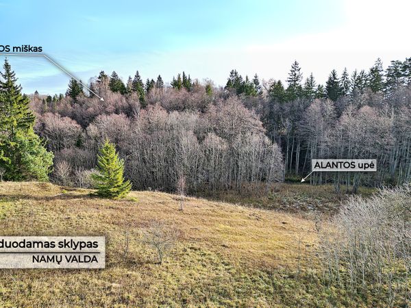 Molėtų r. sav., Antaliežiai