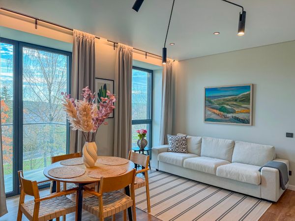 Prienų r. sav., Prienai