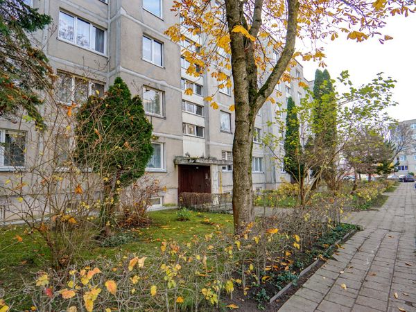 Panevėžys, Klaipėda