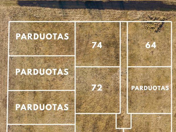 Klaipėdos r. sav., Radailiai