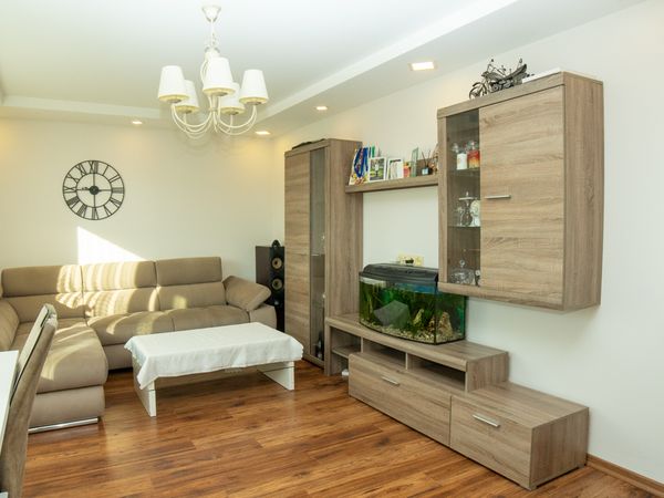 Druskininkų sav., Druskininkai