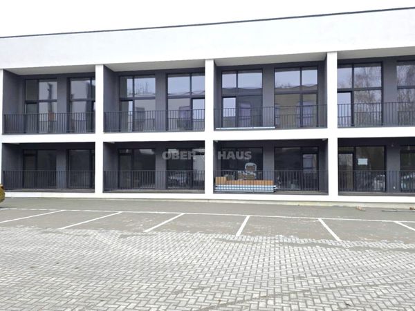 Panevėžys, Centras