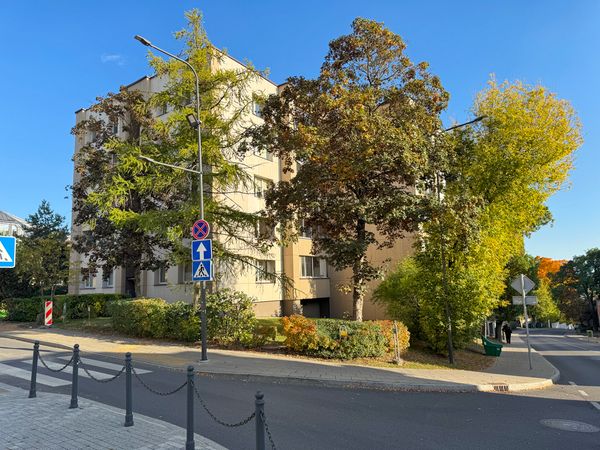 Kaunas, Žaliakalnis