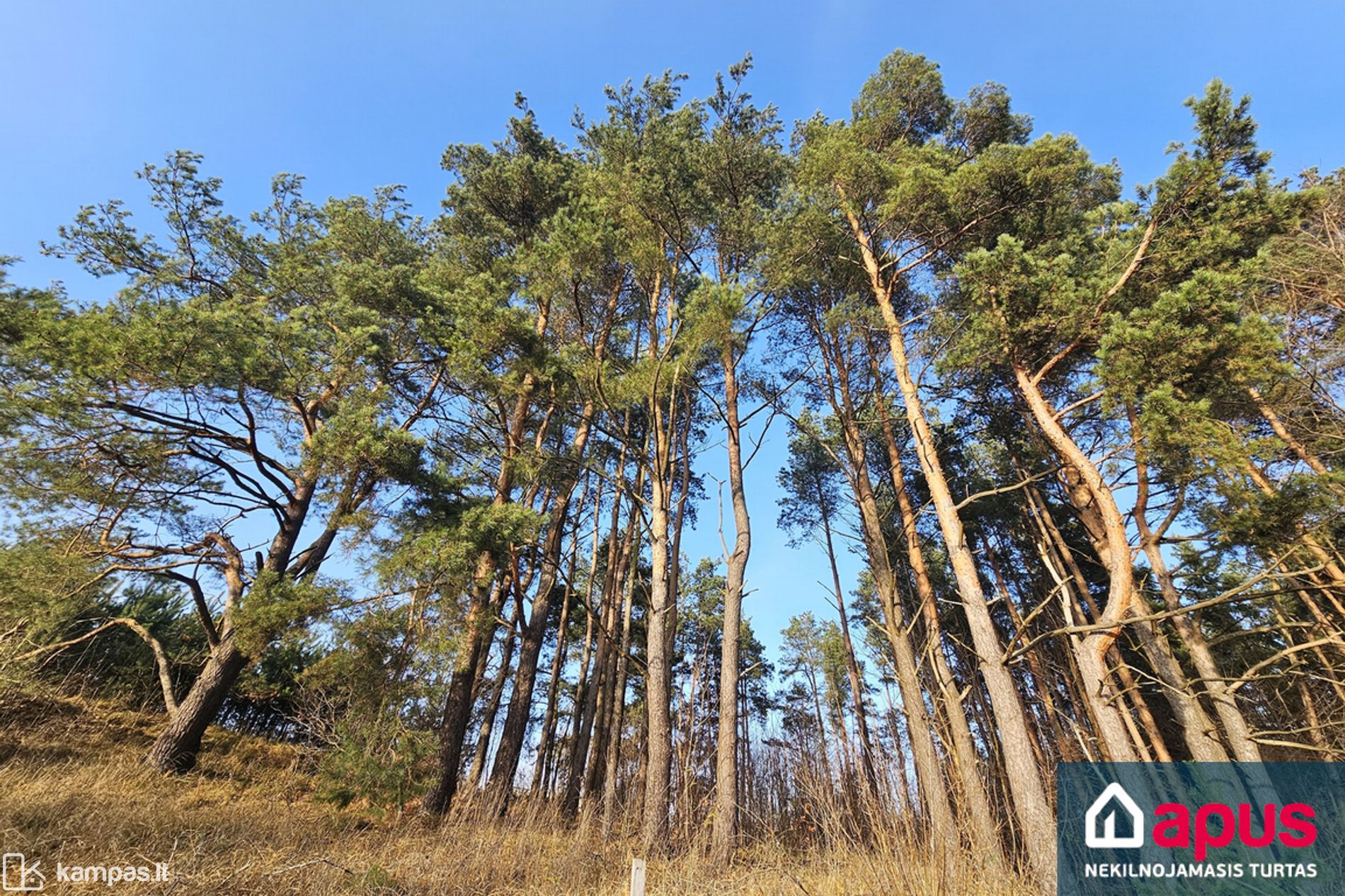 Main Image Vilnius, Liepkalnis, Birbynių g.