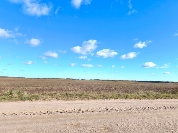 Jonavos r. sav., Rukuižiai