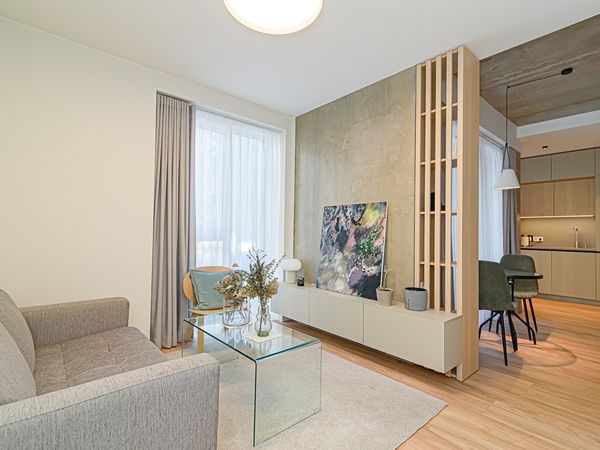 Vilnius, Šnipiškės