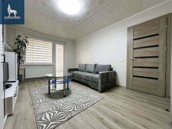 Panevėžys, Centras