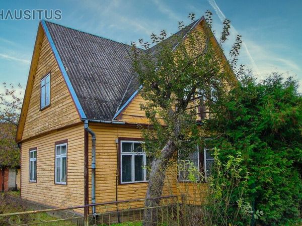 Panevėžys, Tulpės