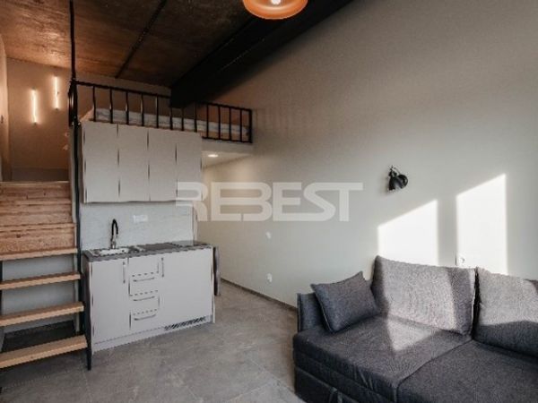 Šiauliai, Gubernija