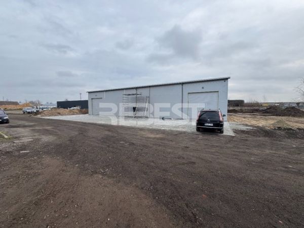 Šiauliai, Medelynas