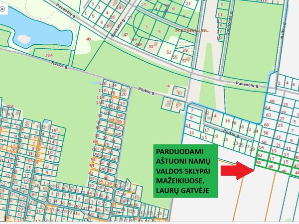 Mažeikių r. sav., Naikiai