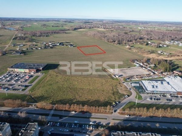 Šiaulių r. sav., Dainos