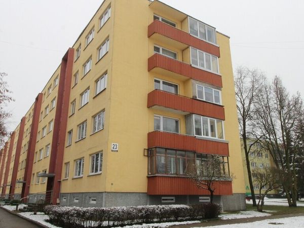 Panevėžys, Tulpės