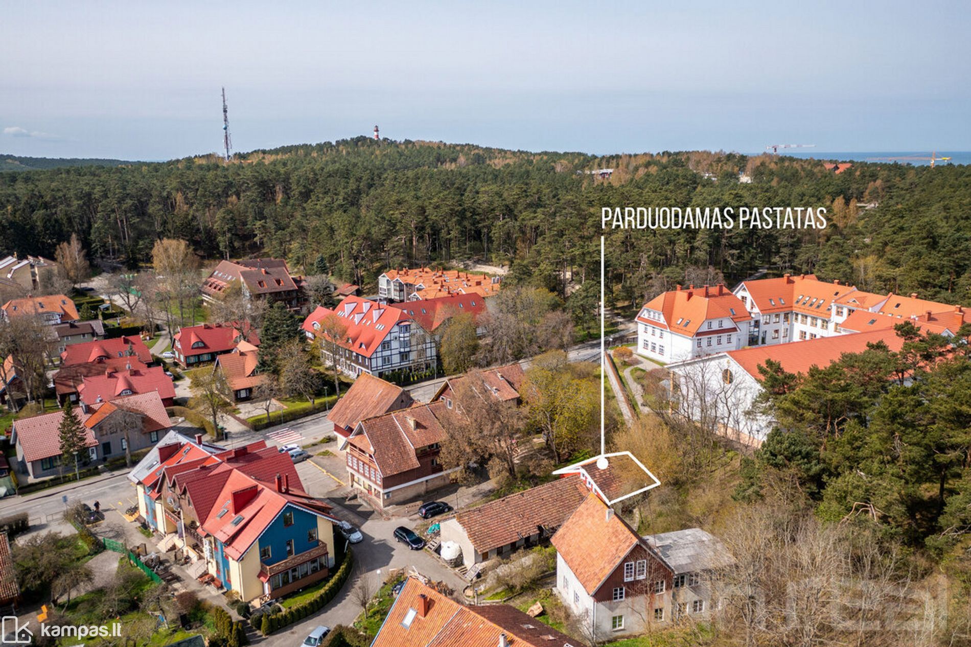 Main Image Nida, Pamario g.