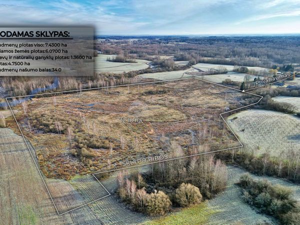 Širvintų r. sav., Balkūnai