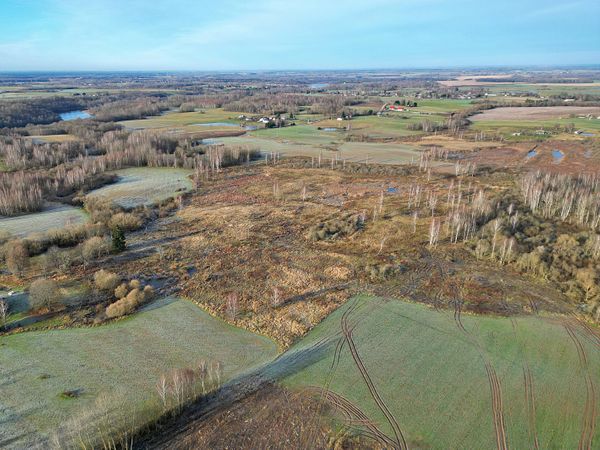 Širvintų r. sav., Balkūnai