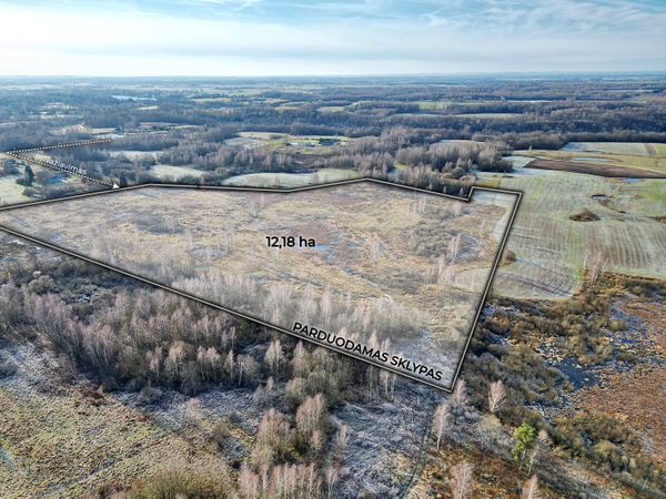 Širvintų r. sav., Balkūnai